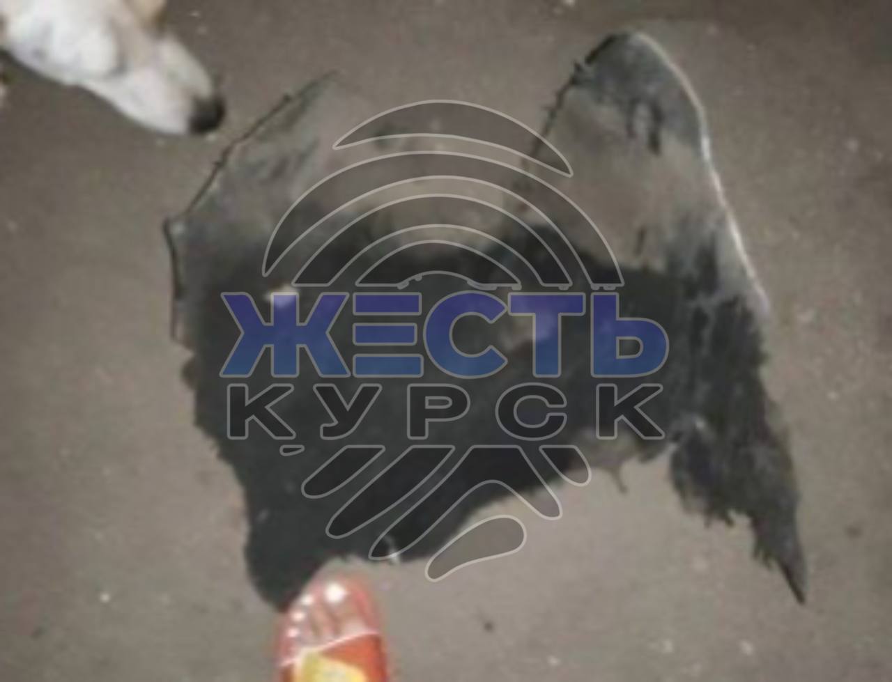 Изображение публикации 0133a768-b3a1-4cd3-8512-c3f1e2efc298