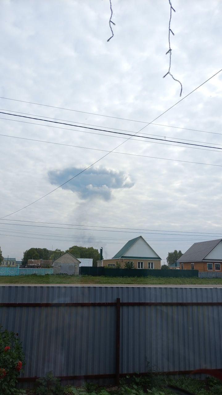 Изображение публикации 02058598-7a0e-4799-b578-a2f086e48520