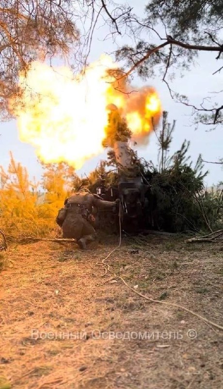 Изображение публикации 028a9b9d-155d-4d46-95ff-9d174a80a08e