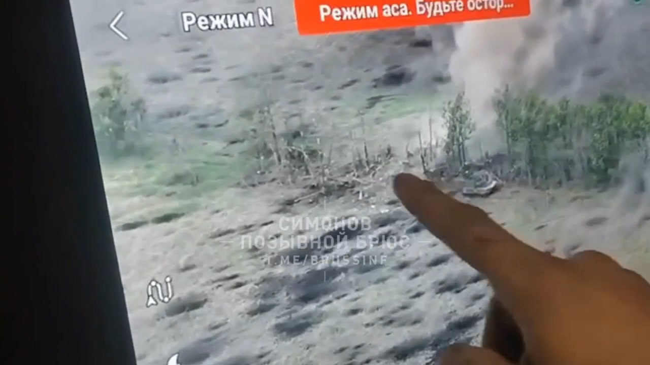 Изображение публикации 036a256c-03aa-4503-a13b-0a72feed0dc9