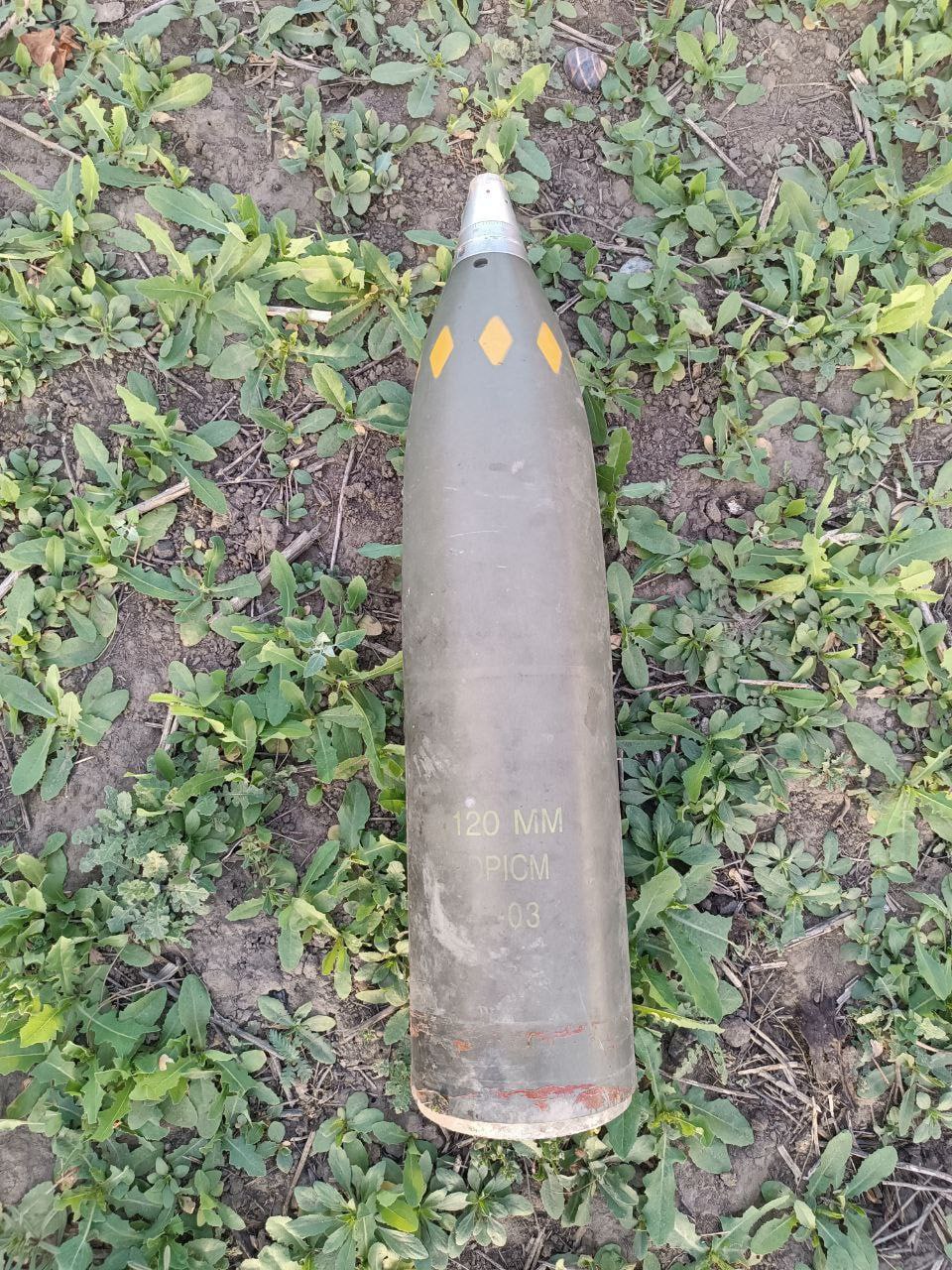 Изображение публикации 03e1c541-42fd-40b9-9f19-1b9aa5275e3d