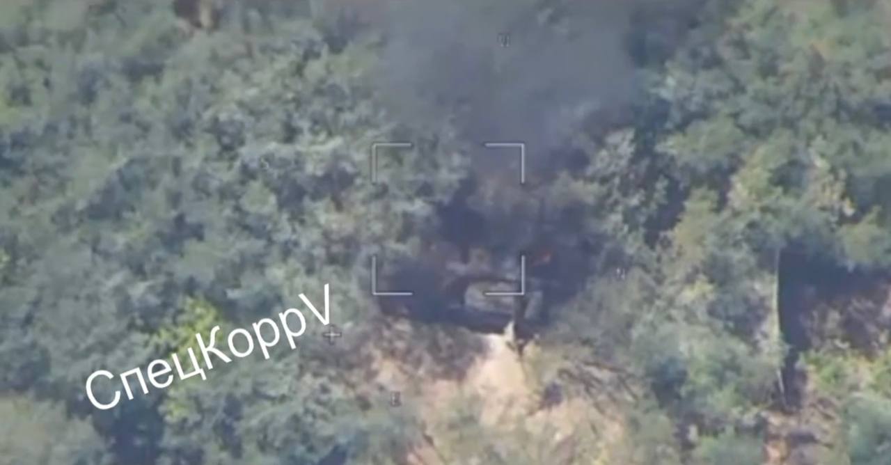 Изображение публикации 03f419f9-279c-4dc8-b927-9eb9948d37ee