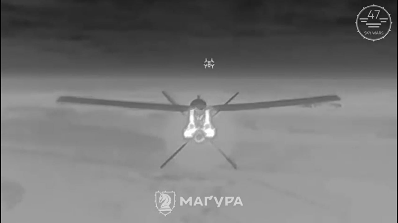 Изображение публикации 05493073-149b-4c6a-86d3-66256496ee55