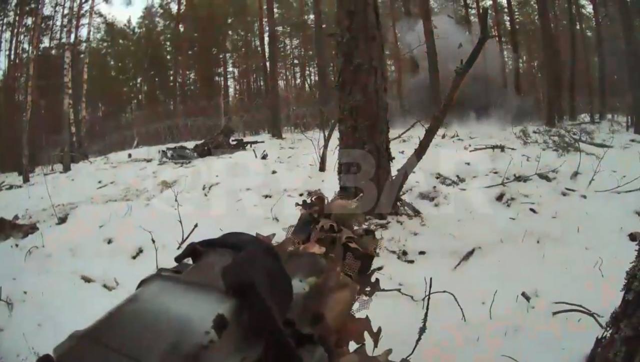 Изображение публикации 07b3ba37-9e03-4d3e-81fe-c70875de8ced