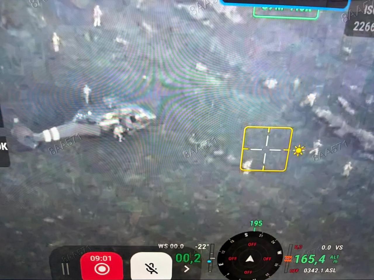Изображение публикации 07d57ca5-d284-495c-9509-23312db95835