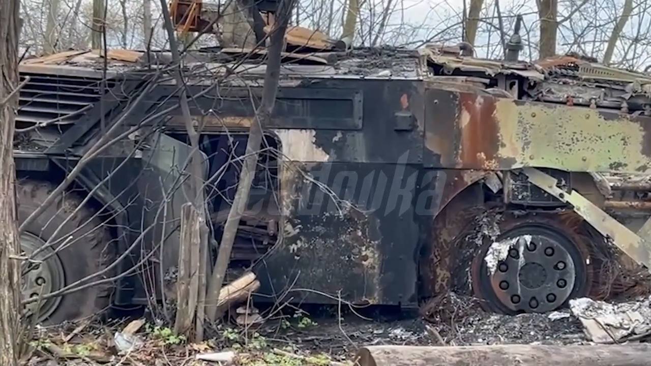 Изображение публикации 09dc3441-6c34-4148-b186-0b012365bced