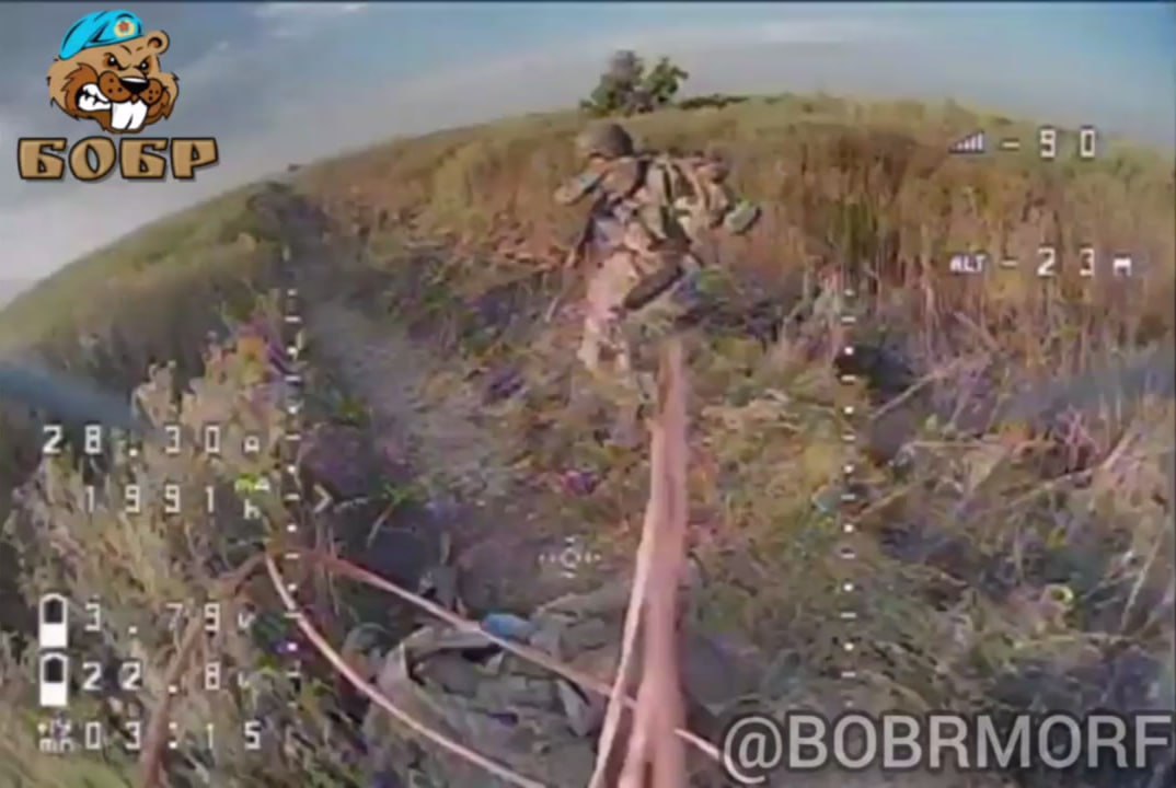 Изображение публикации 0a67e341-9d3b-496f-b9a5-92e39be965d7