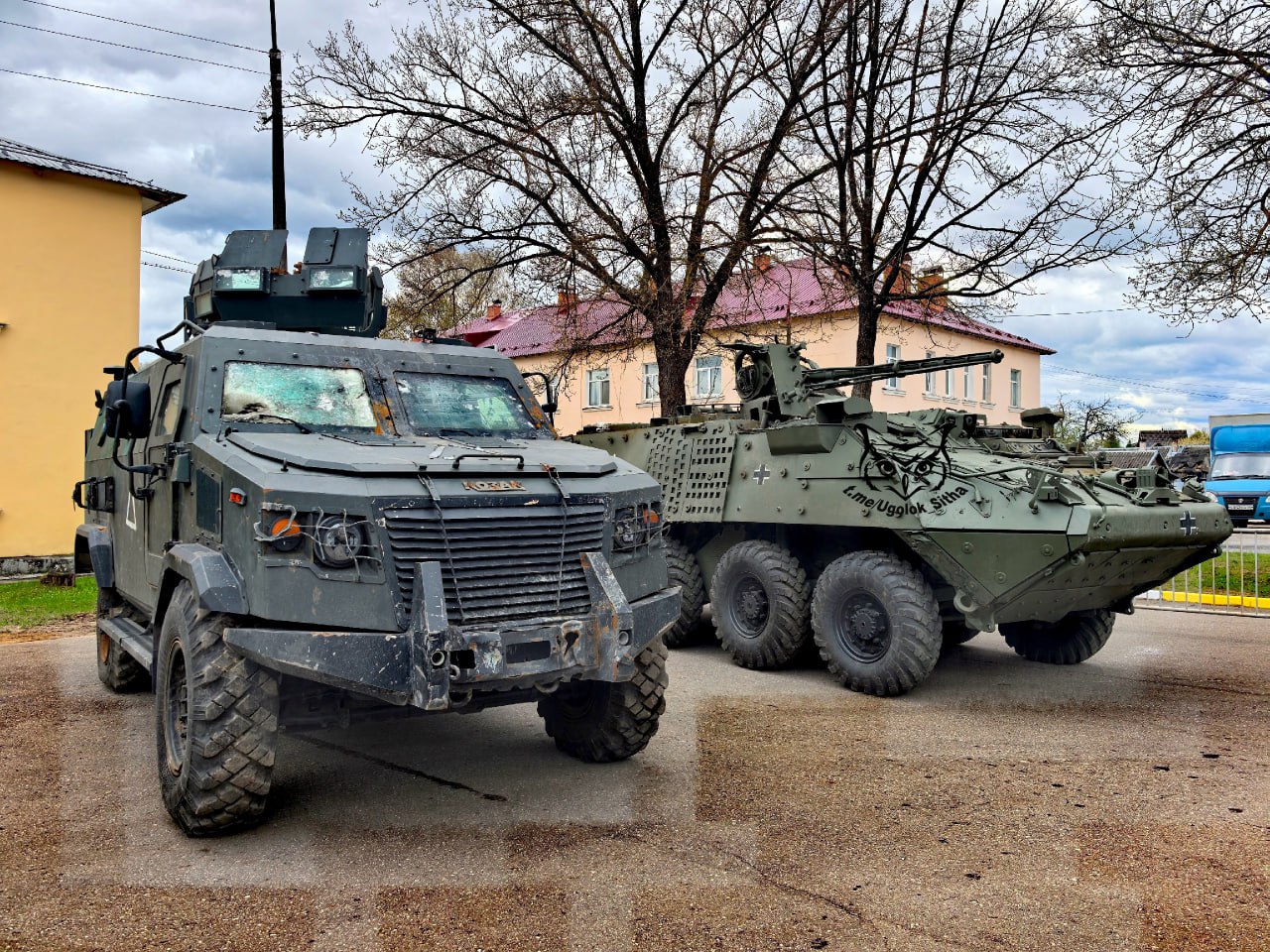Изображение публикации 0a6a2c7b-d462-4513-a584-a876d26176b5
