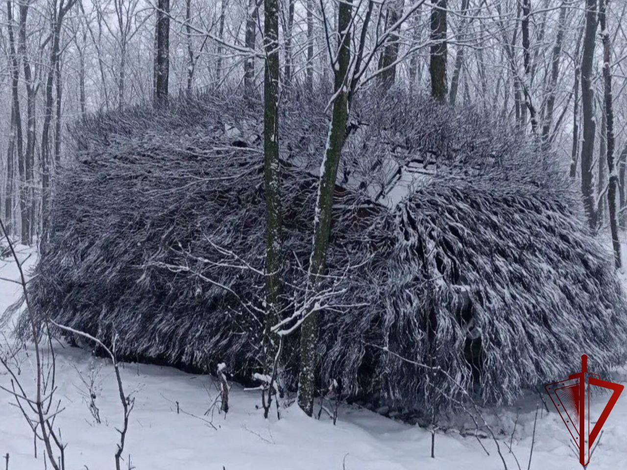 Изображение публикации 0ad0def8-e65b-4e92-bb94-62f6d6d80905