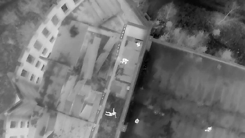 Изображение публикации 0ceb6a2a-3365-4093-a44f-aef6bf0fd734