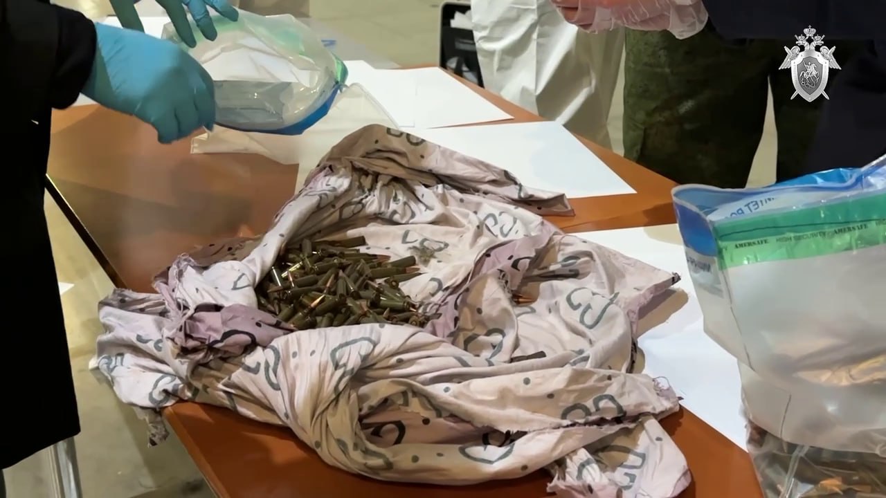 Изображение публикации 0e2d632d-62c2-491d-983e-d1b379ed7b8d