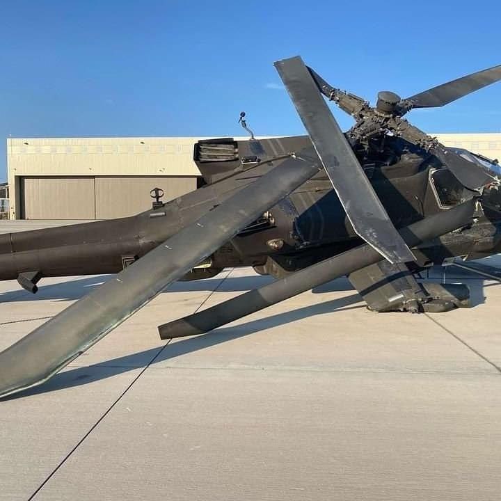 Изображение публикации 0e86a72d-b71f-4c56-a426-30be6463727a