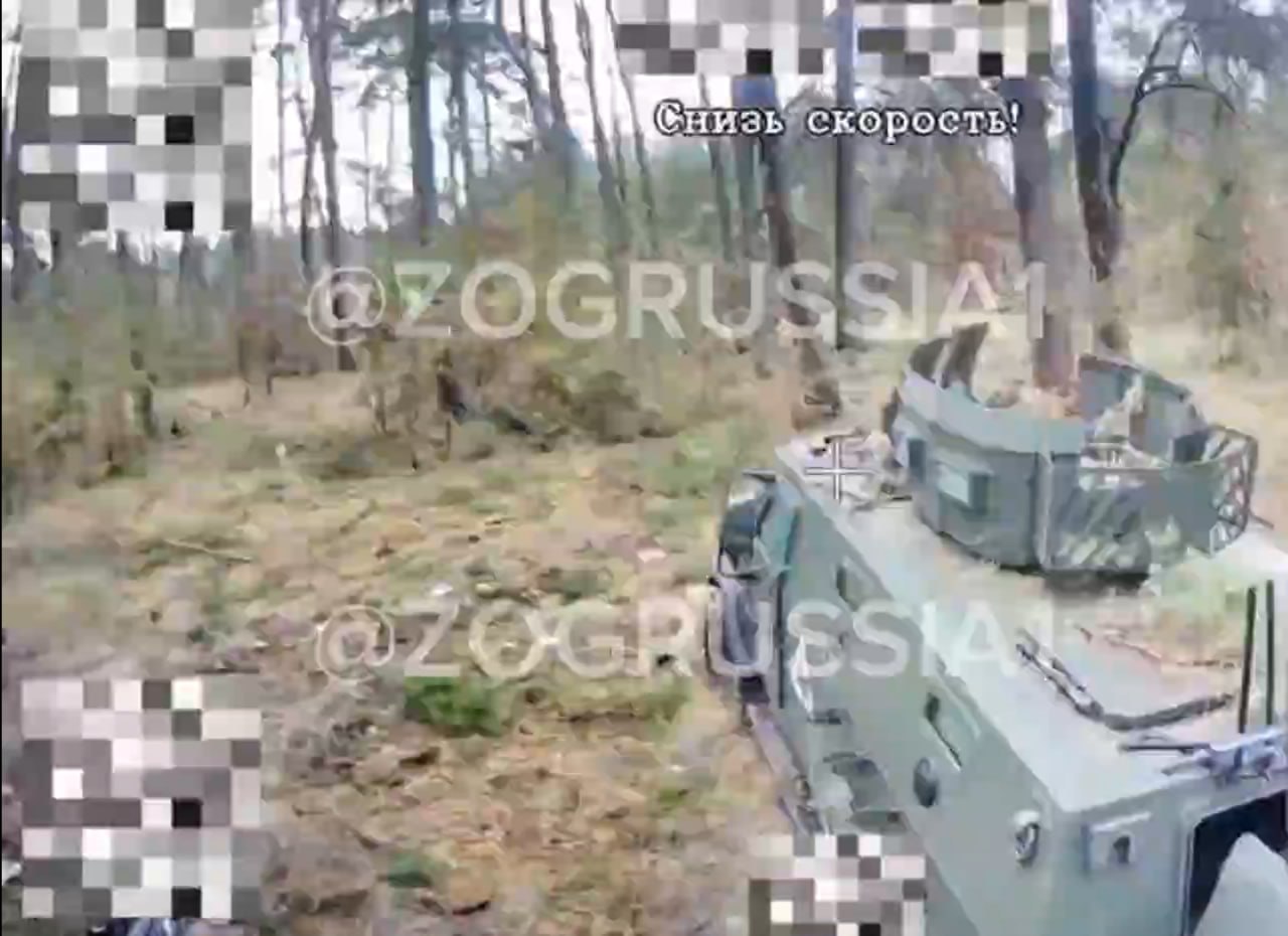 Изображение публикации 0eb924ea-7717-47d1-b429-e839a732a733