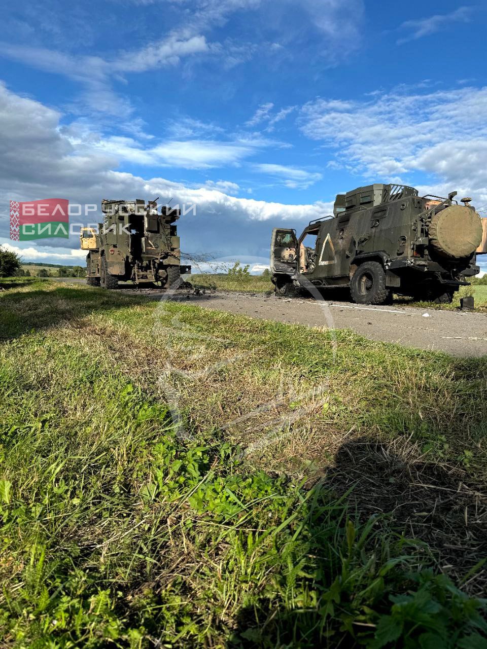 Изображение публикации 10288c31-d96f-45ed-8ad9-72c3a9063822