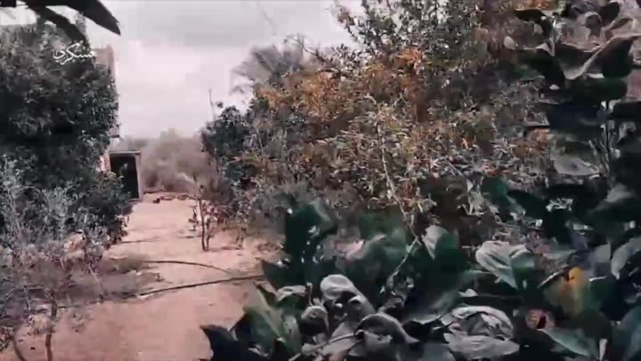 Превью видео