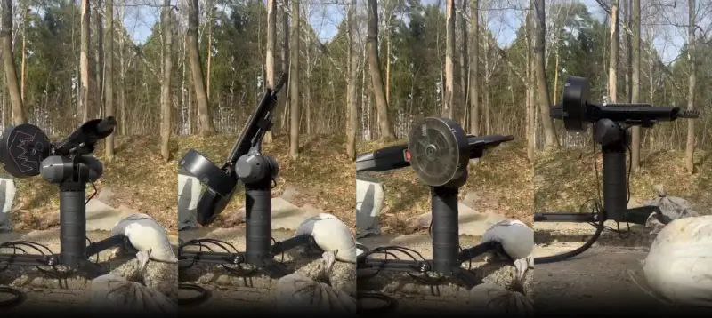 Изображение публикации 11bf3952-7849-46c3-be3b-597d45dc3c6c