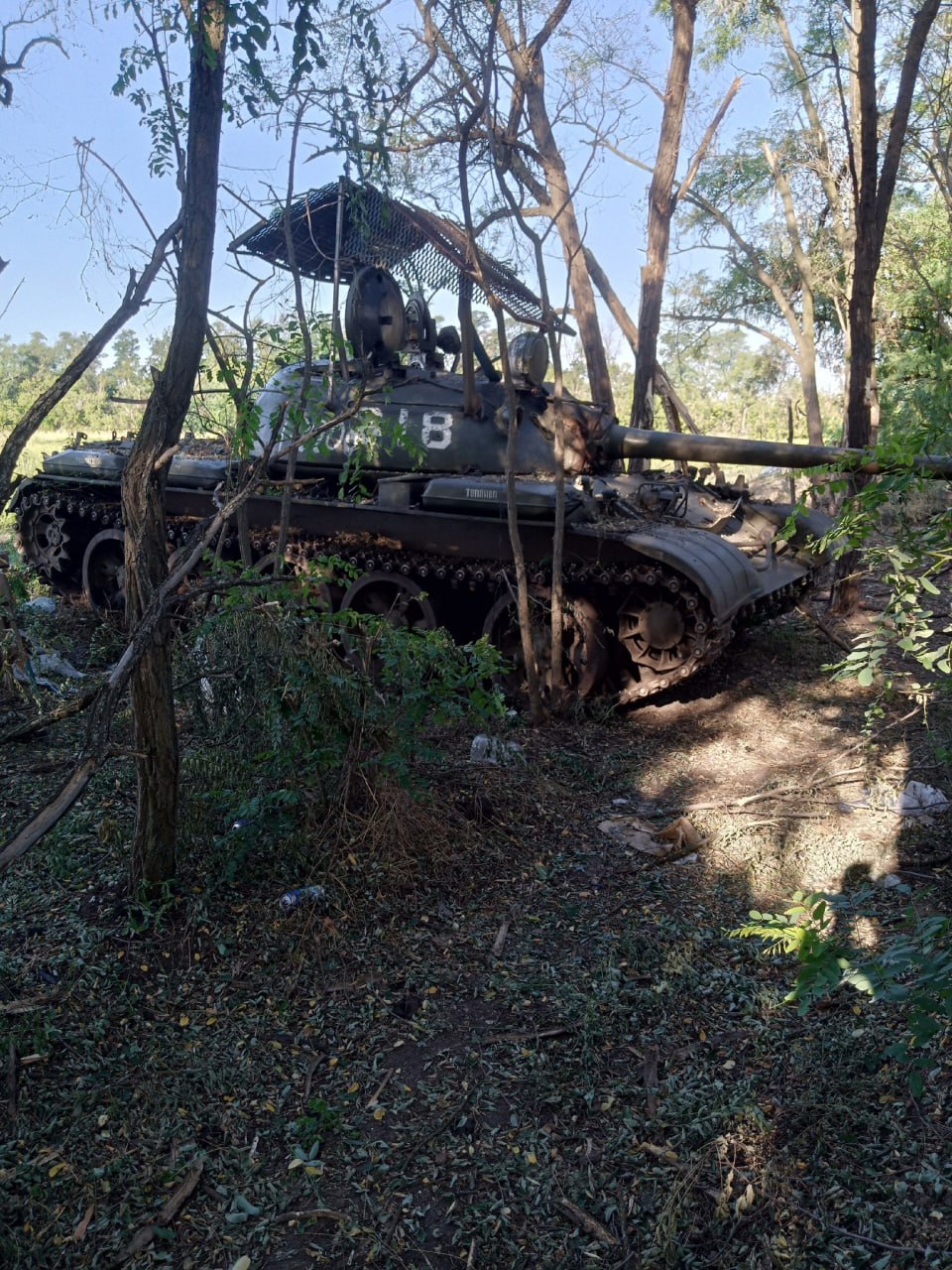 Изображение публикации 11d84962-0f9b-44ba-b259-25d46229a3fb