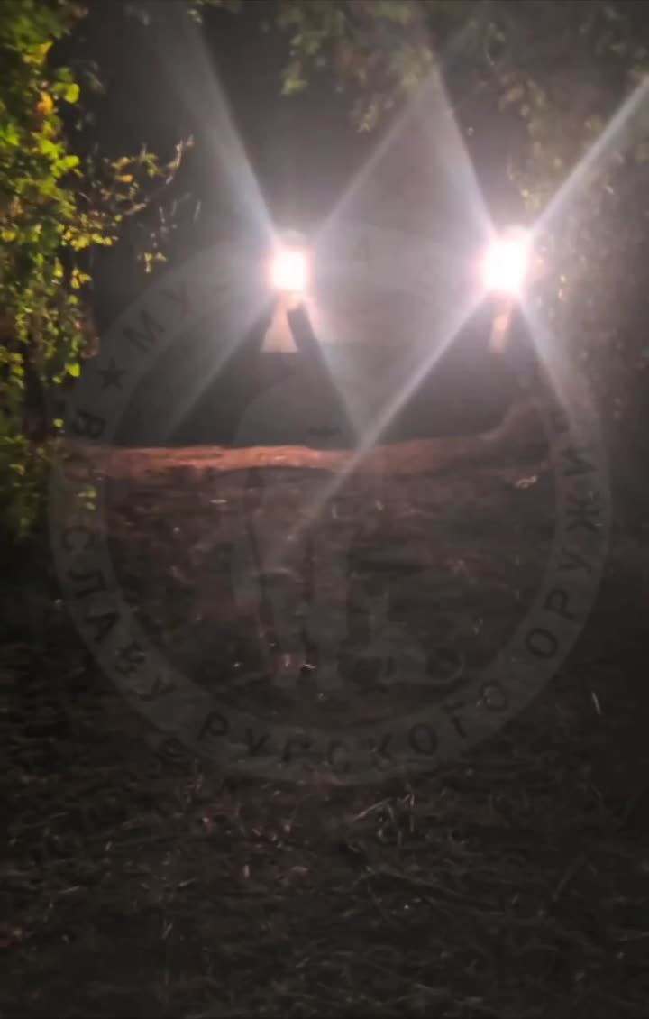 Превью видео