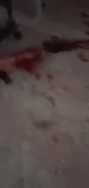 Превью видео