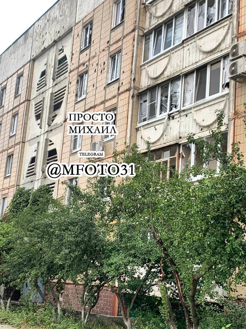 Изображение публикации 123d4731-c979-4938-a9ce-ef6cb85be3d1