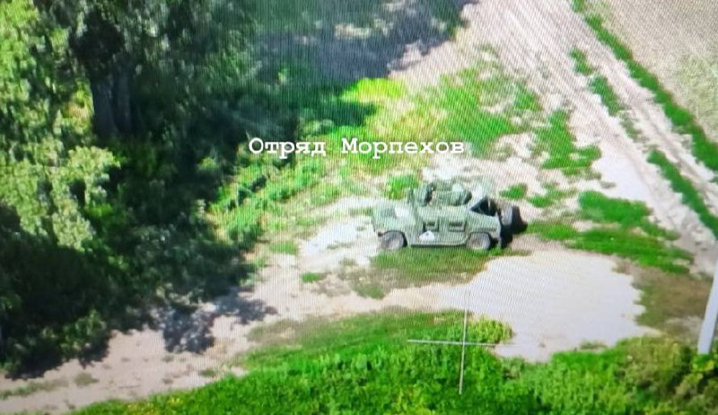 Изображение публикации 1413c1a7-7bb8-4d39-8801-aeb58fb11ca5