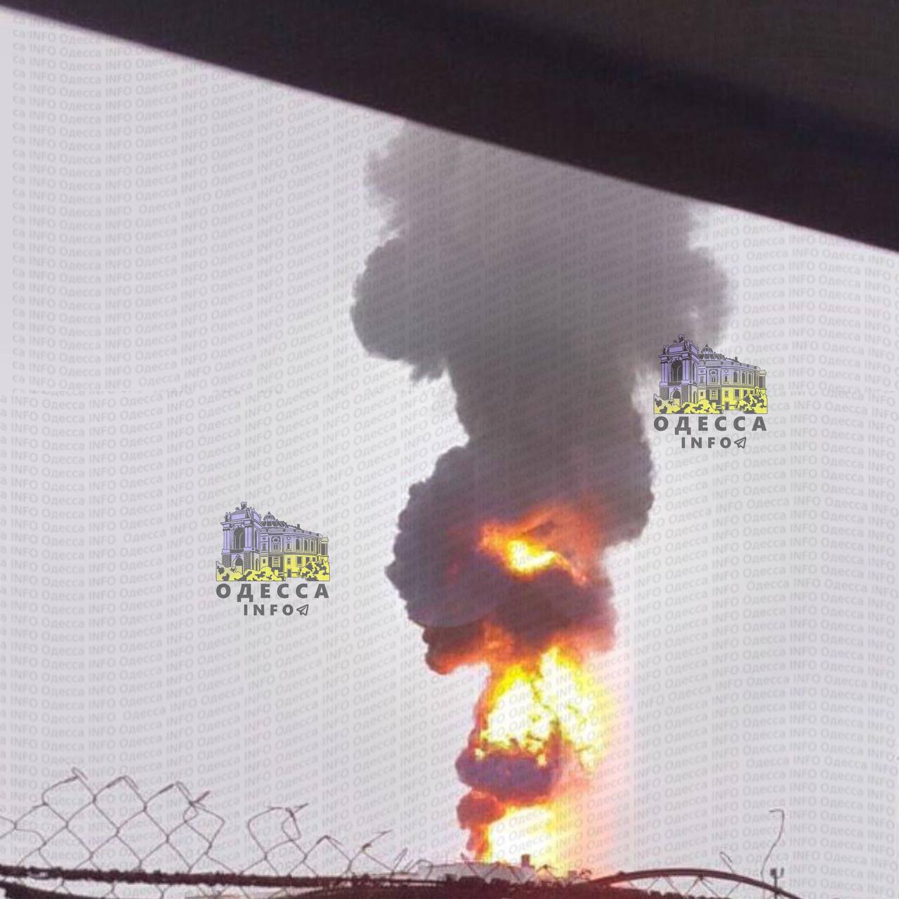 Изображение публикации 1435be65-d814-427d-835c-45faf0dc4c40