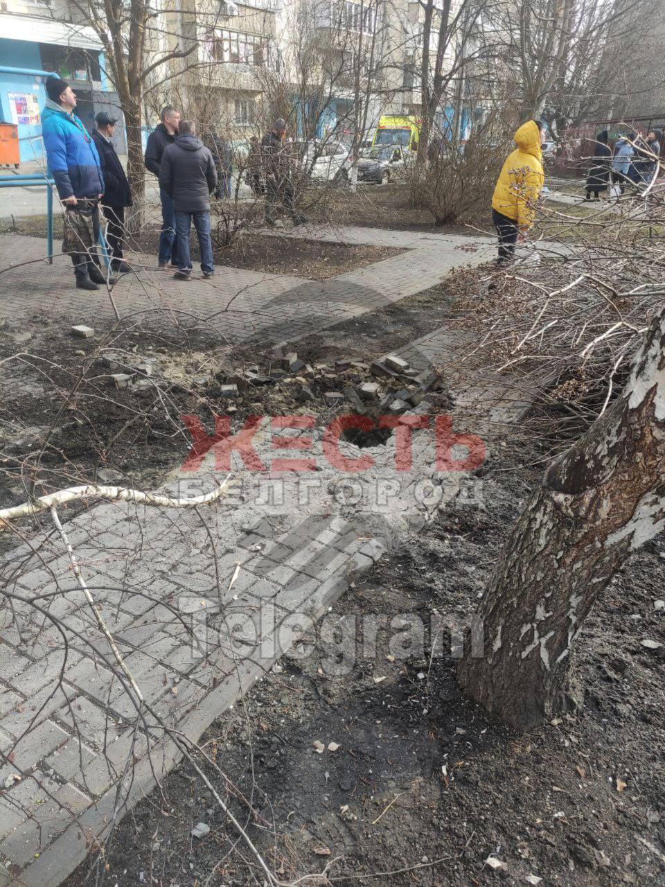 Изображение публикации 1440b0e8-dccd-4358-b4a6-b147d5ff2b54