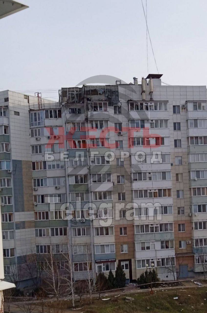Изображение публикации 1440b0e8-dccd-4358-b4a6-b147d5ff2b54