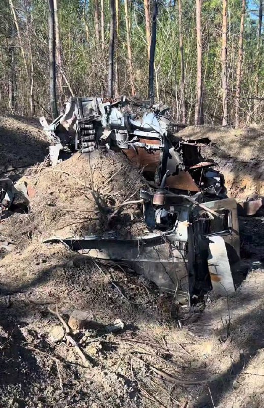 Изображение публикации 1468a7d5-6af9-43eb-8480-e64d39829f0a
