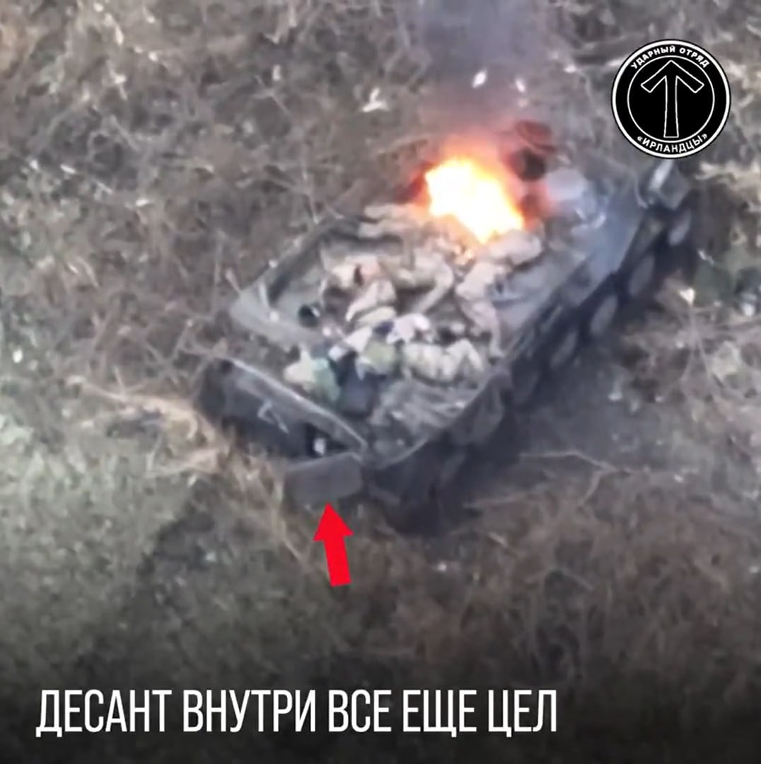 Изображение публикации 15e01aed-3dda-4741-867e-82827e86f8a6