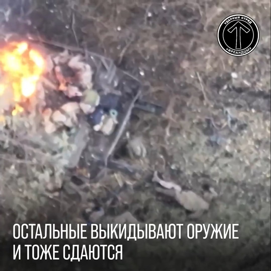 Изображение публикации 15e01aed-3dda-4741-867e-82827e86f8a6