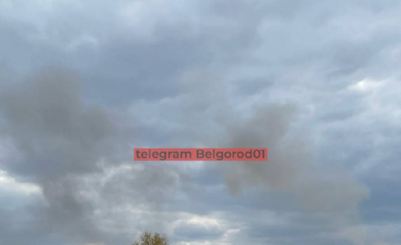 Изображение публикации 1620e11d-e002-4af6-bbaf-52a91f25d061