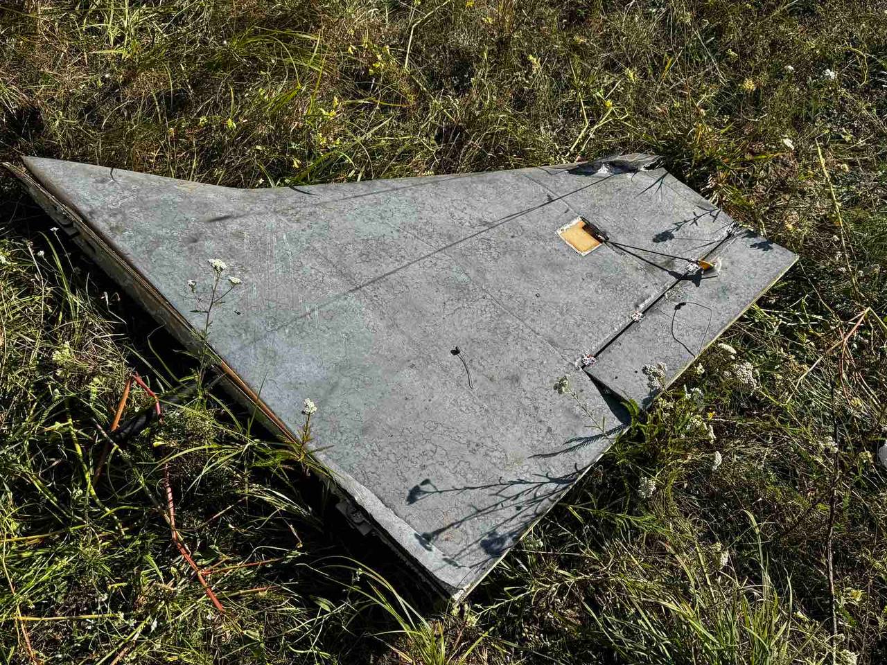 Изображение публикации 179a4e50-7993-4128-80dd-cea4090394e3