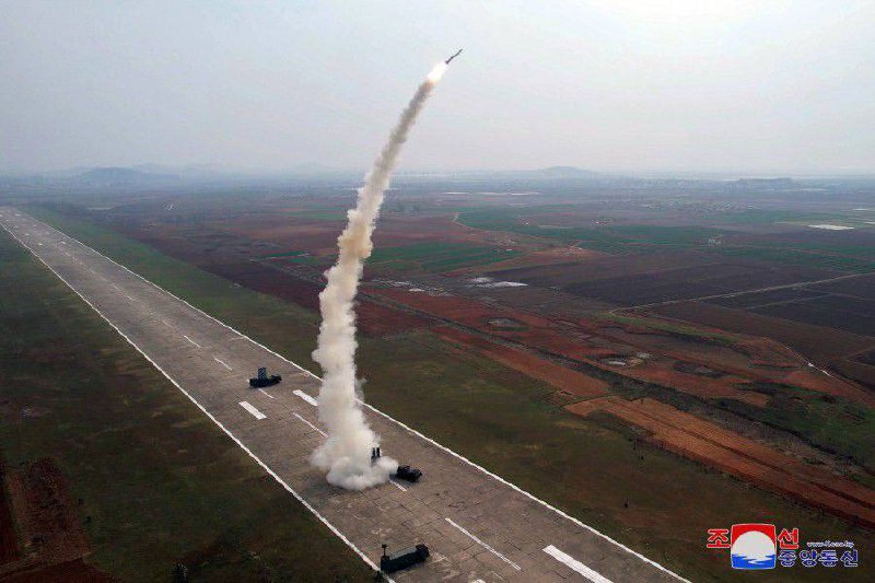 Изображение публикации 17c72599-2ada-4de3-863f-e61f5816007d