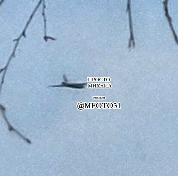 Изображение публикации 17fca380-42e0-4bb9-b793-7cb5d55f8e1d
