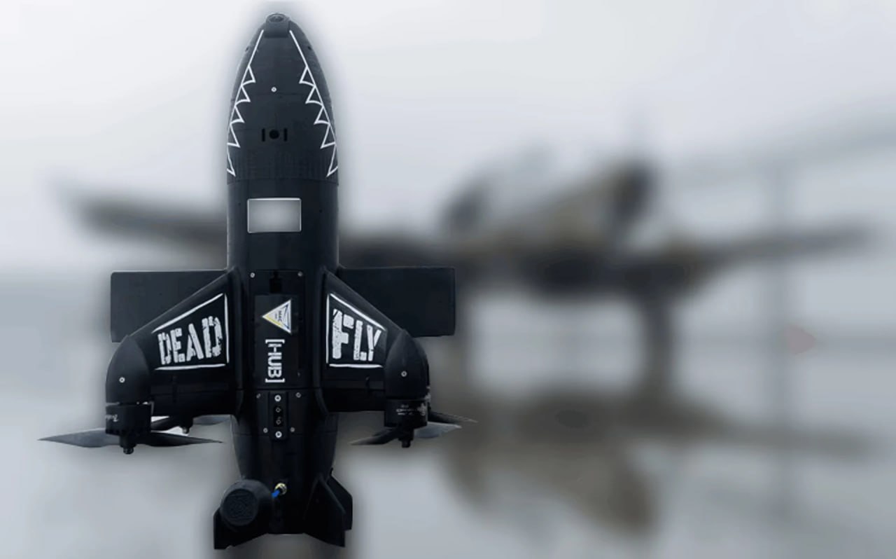 Изображение публикации 18201c5b-41f1-4f36-a79c-ca8e919e9cae
