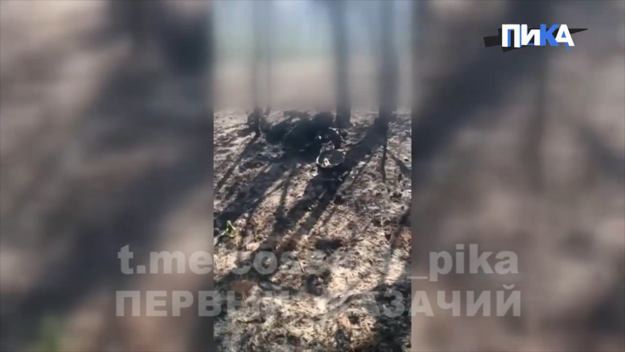 Изображение публикации 18345469-a1b6-4641-a997-6ff23daa193a