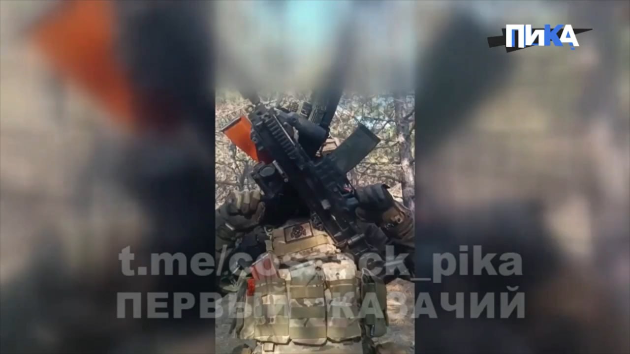 Изображение публикации 18345469-a1b6-4641-a997-6ff23daa193a