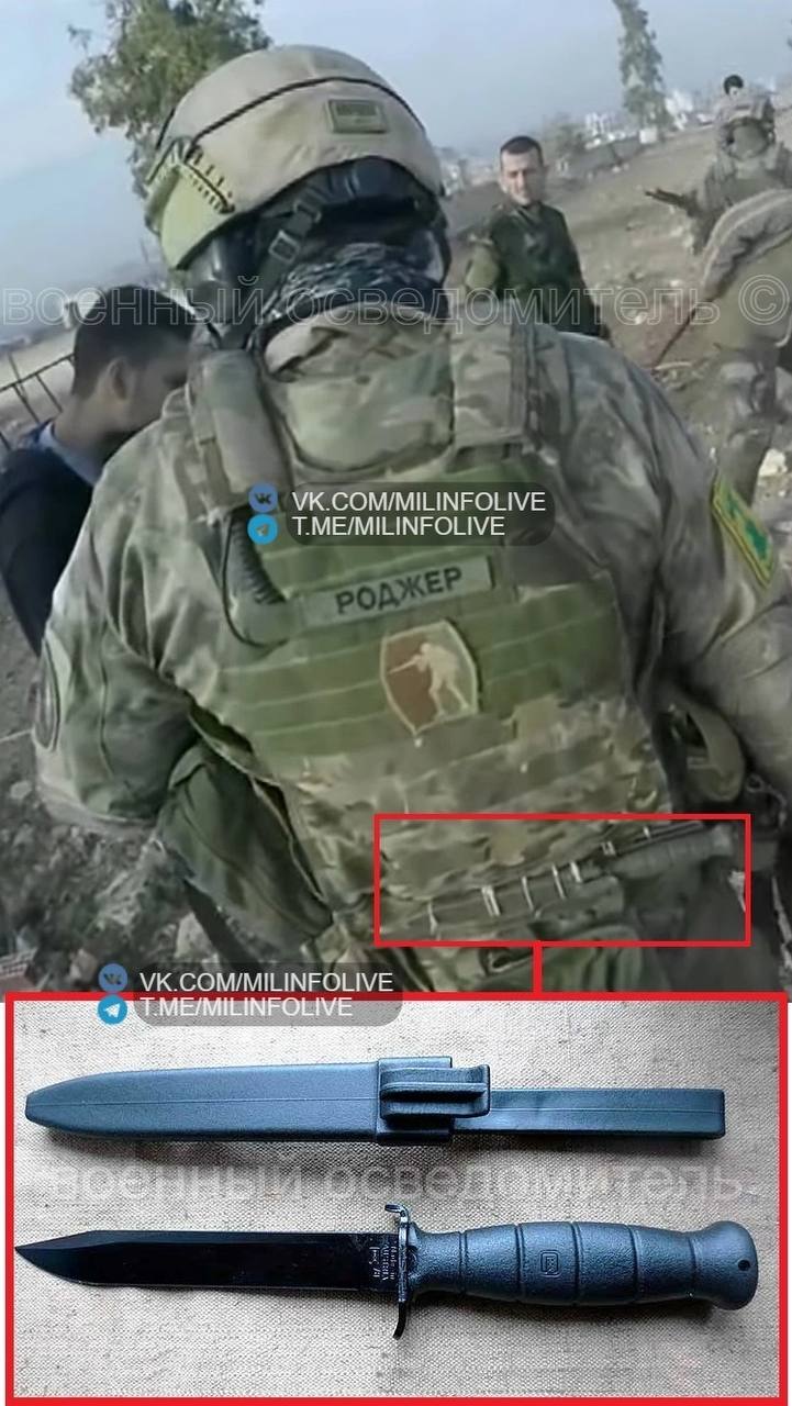 Изображение публикации 1889fedc-e8b8-4f0b-9c43-0a6ce78014b7