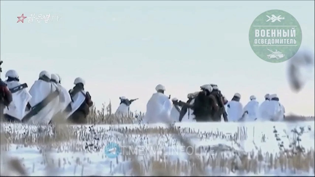 Изображение публикации 1a14c1ab-a8c5-4e85-bdc1-cc0569cacdbe