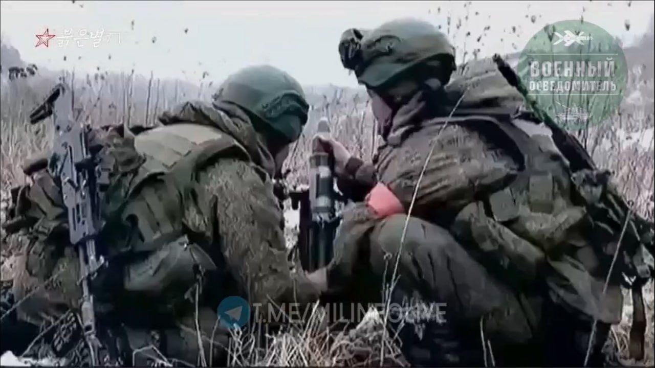 Изображение публикации 1a14c1ab-a8c5-4e85-bdc1-cc0569cacdbe