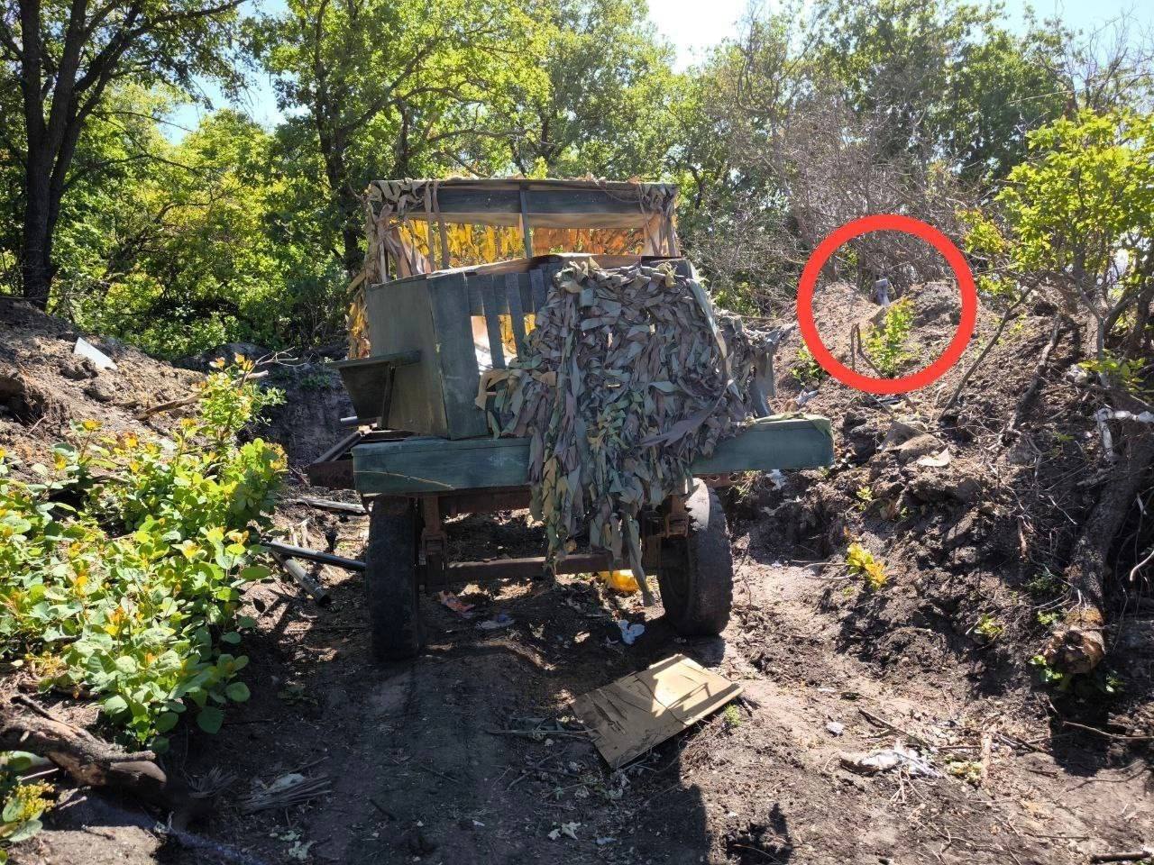 Изображение публикации 1a19bc62-693f-4160-8fe0-0df7c01c34f0