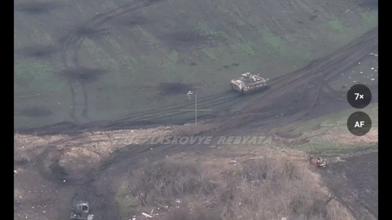 Изображение публикации 1aaa0fb4-8f7d-435a-bbdf-929a15732769