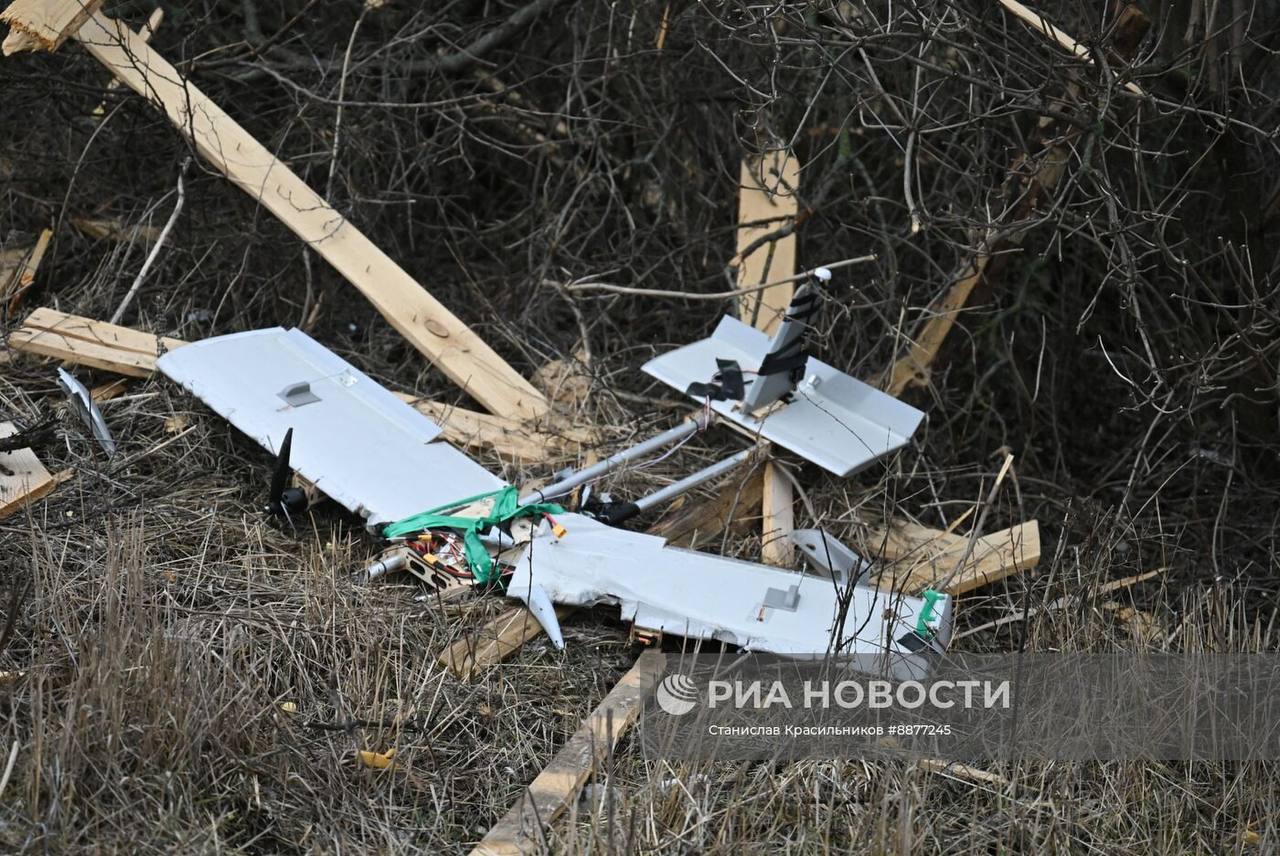 Изображение публикации 1ab4a877-80f4-4036-8d31-7f91cdc734d7