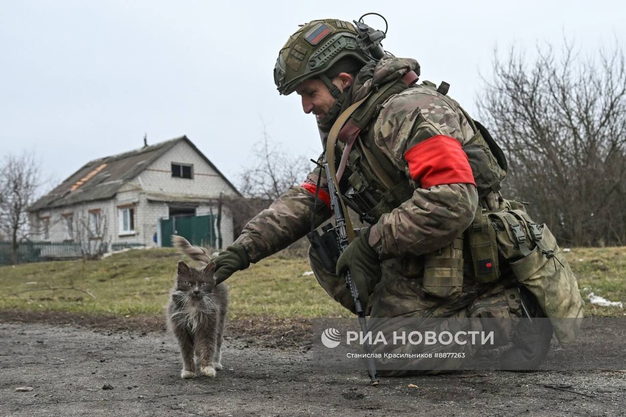 Изображение публикации 1ab4a877-80f4-4036-8d31-7f91cdc734d7