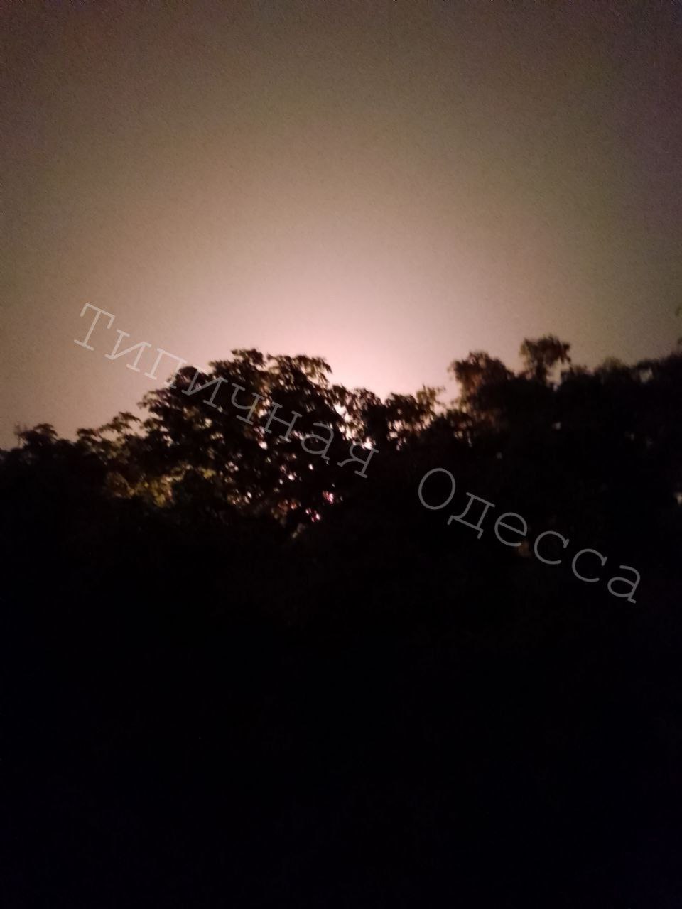 Изображение публикации 1b248850-a188-4545-9c13-1e604732f470