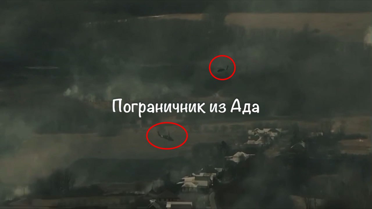 Изображение публикации 1b539ac9-43d6-4286-80cc-0ea3507acc46
