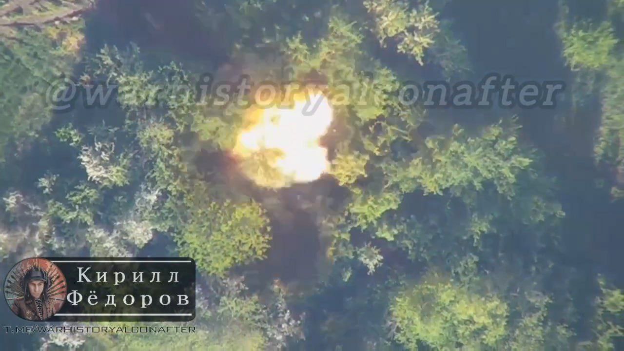 Изображение публикации 1b8c3a4c-ca0e-4cda-834b-3e96397e1d56