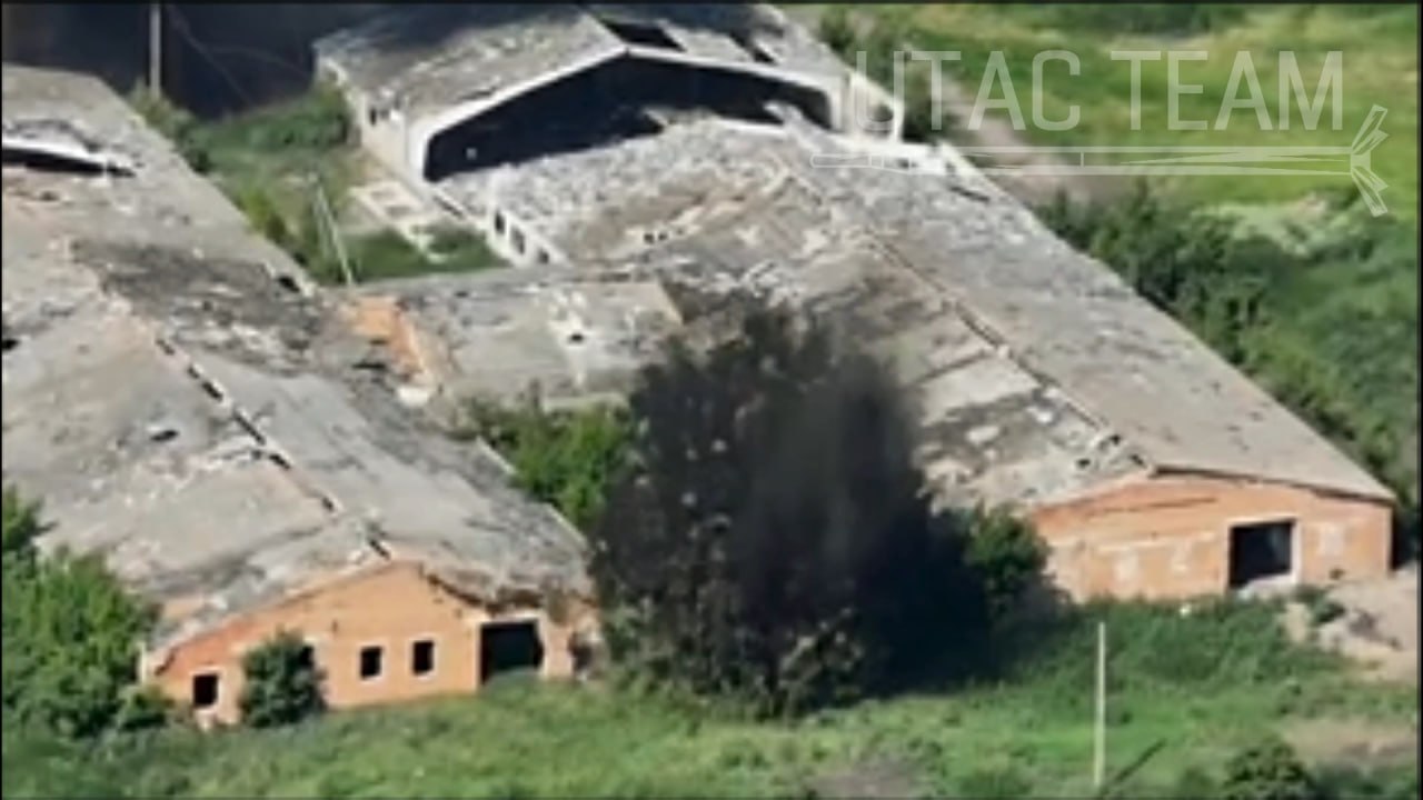 Изображение публикации 1c6acdfe-dd6b-4c75-8ba7-be4a5e4fed67
