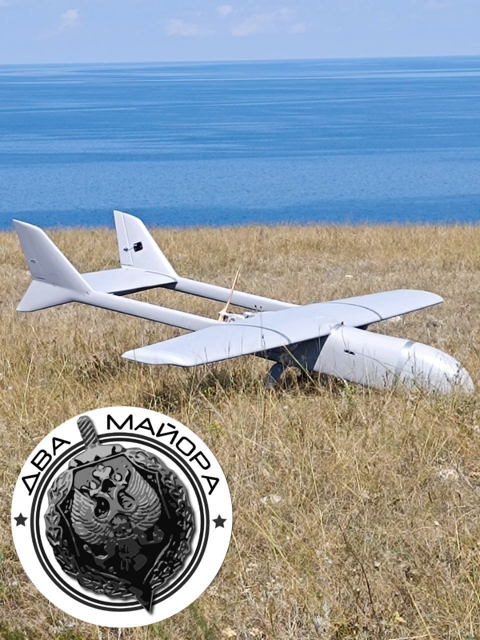 Изображение публикации 1cd1f531-b88a-49b6-a412-39d197003fc8